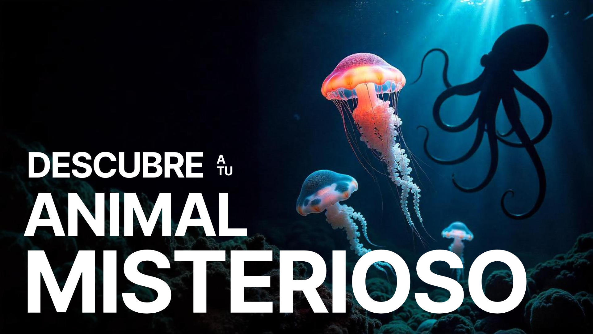 Descubre a tu animal misterioso